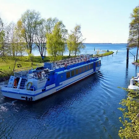 Bei Den Heidebirken In