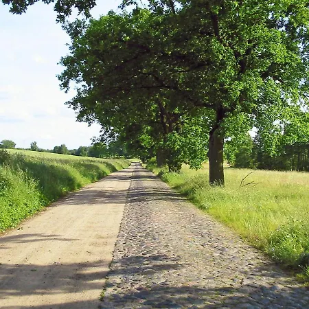 Bei Den Heidebirken In *